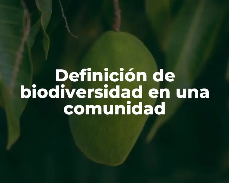 Definición de biodiversidad en una comunidad