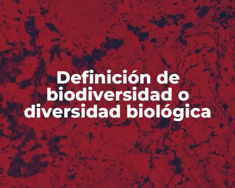 Definición de biodiversidad o diversidad biológica