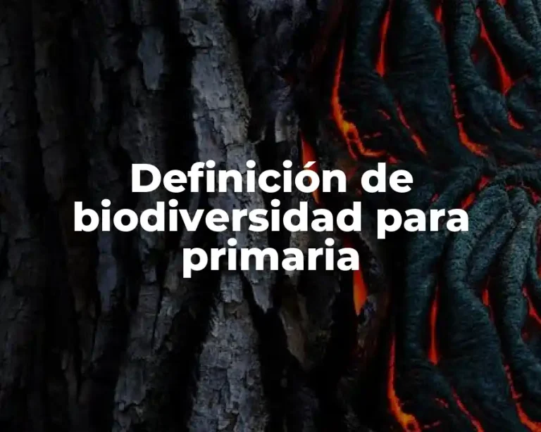 Definición de biodiversidad para primaria