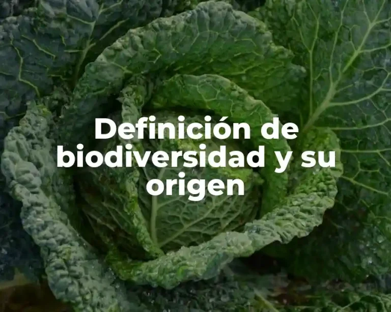 Definición de biodiversidad y su origen