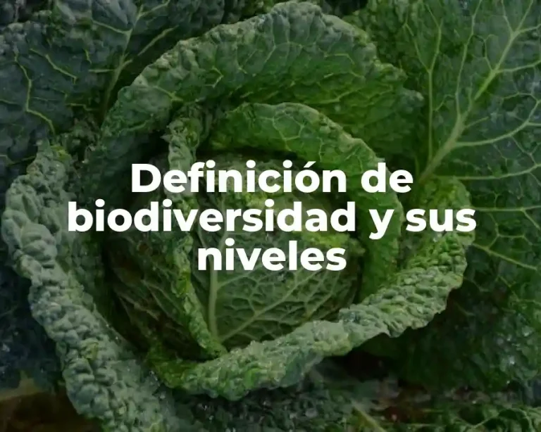 Definición de biodiversidad y sus niveles