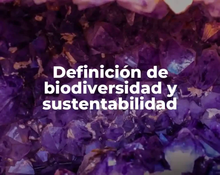 Definición de biodiversidad y sustentabilidad