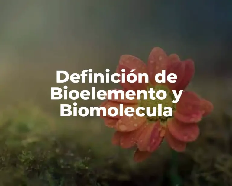 Definición de Bioelemento y Biomolecula