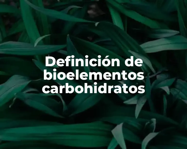 Definición de bioelementos carbohidratos