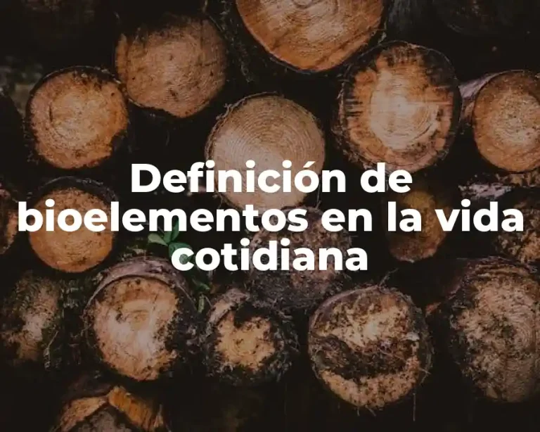 Definición de bioelementos en la vida cotidiana