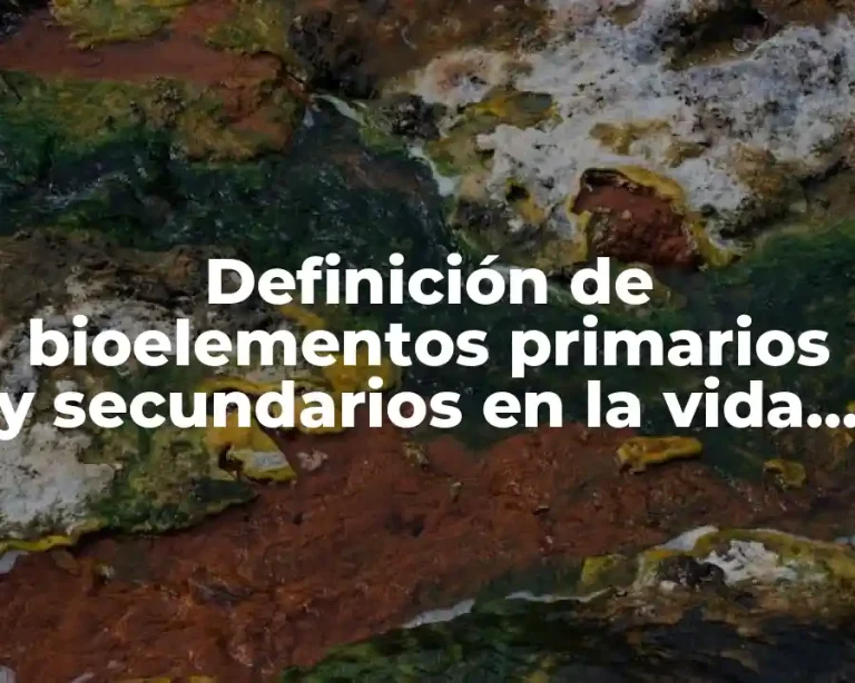 Definición de bioelementos primarios y secundarios en la vida cotidiana