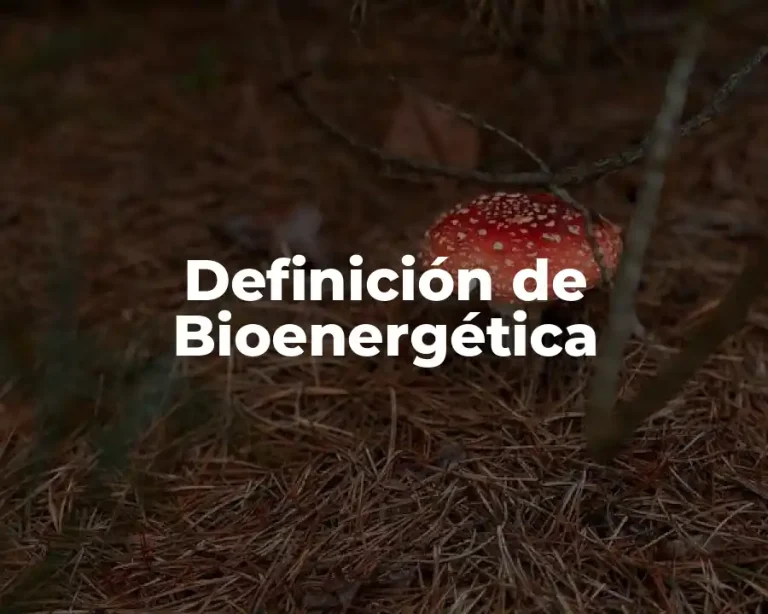 Definición de Bioenergética