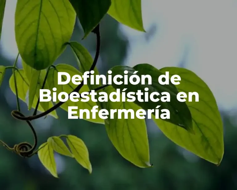 Definición de Bioestadística en Enfermería