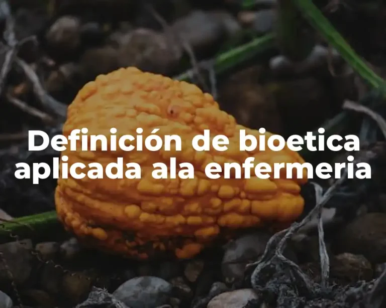 Definición de bioetica aplicada ala enfermeria