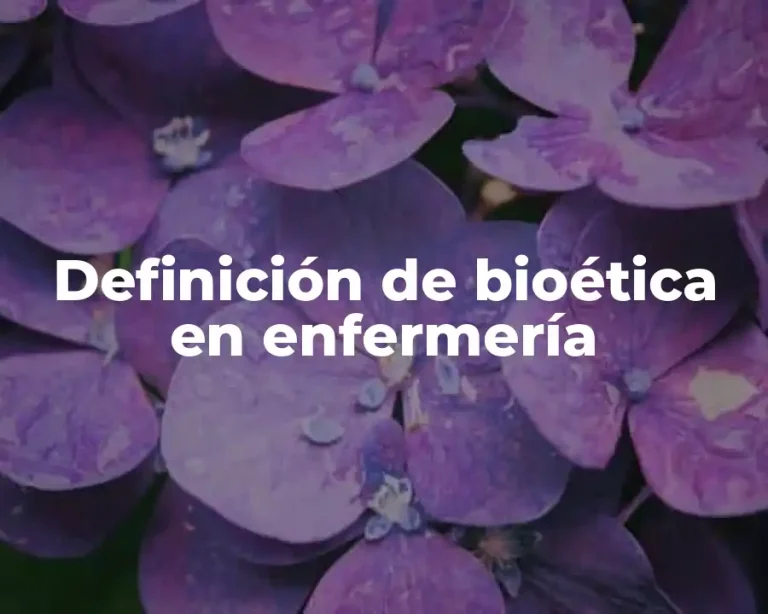Definición de bioética en enfermería