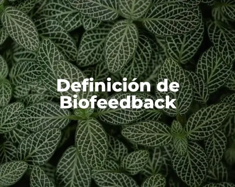 Definición de Biofeedback