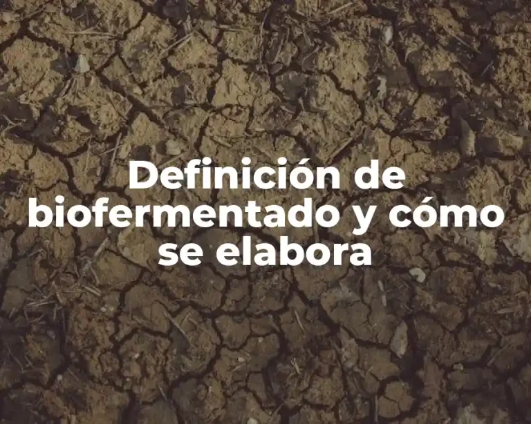 Definición de biofermentado y cómo se elabora