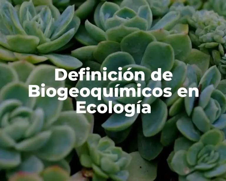 Definición de Biogeoquímicos en Ecología