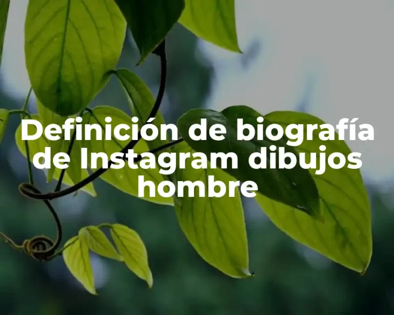 Definición de biografía de Instagram dibujos hombre