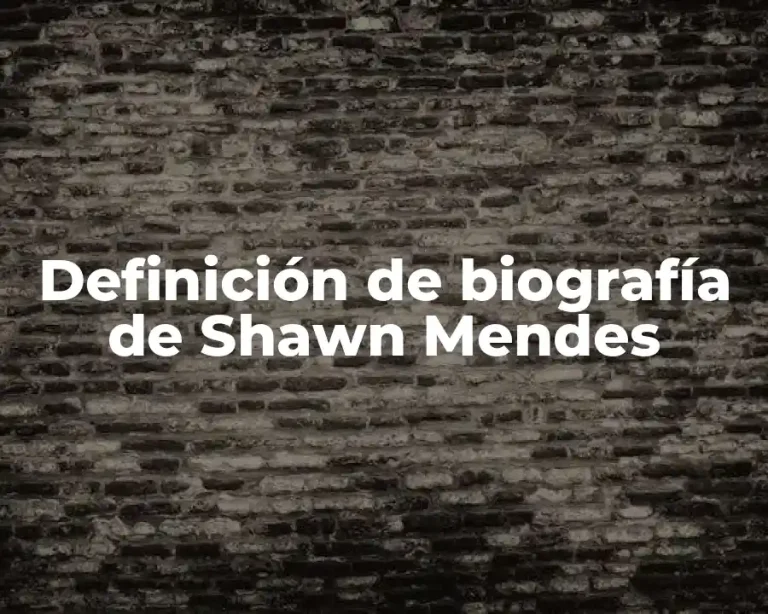 Definición de biografía de Shawn Mendes
