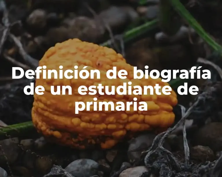 Definición de biografía de un estudiante de primaria