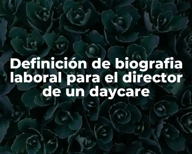 Definición de biografia laboral para el director de un daycare