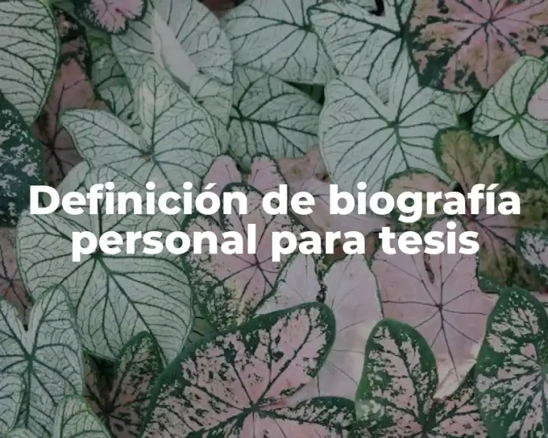 Definición de biografía personal para tesis