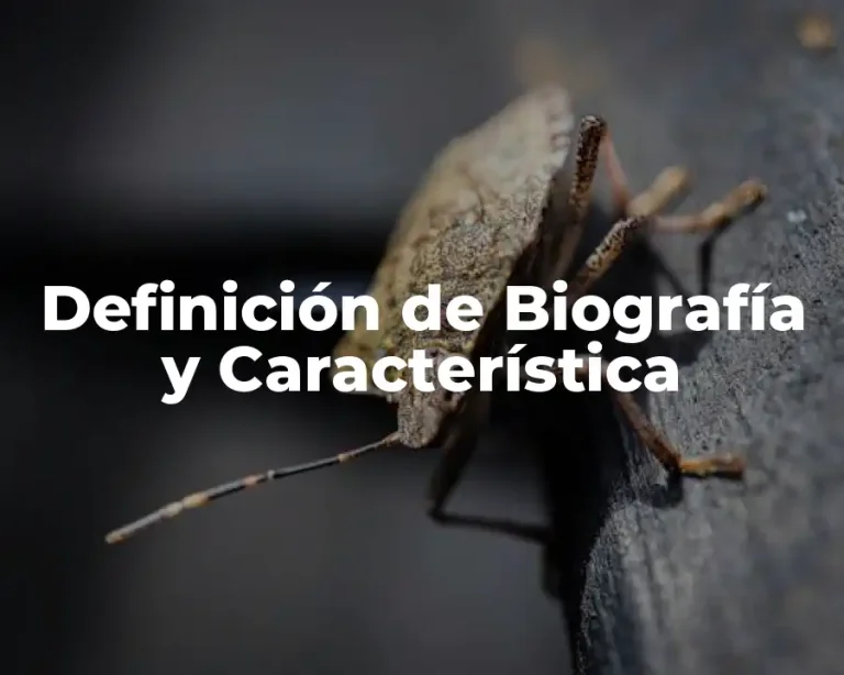 Definición de Biografía y Característica