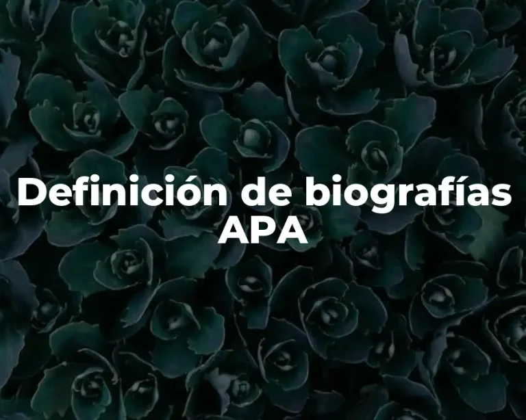 Definición de biografías APA