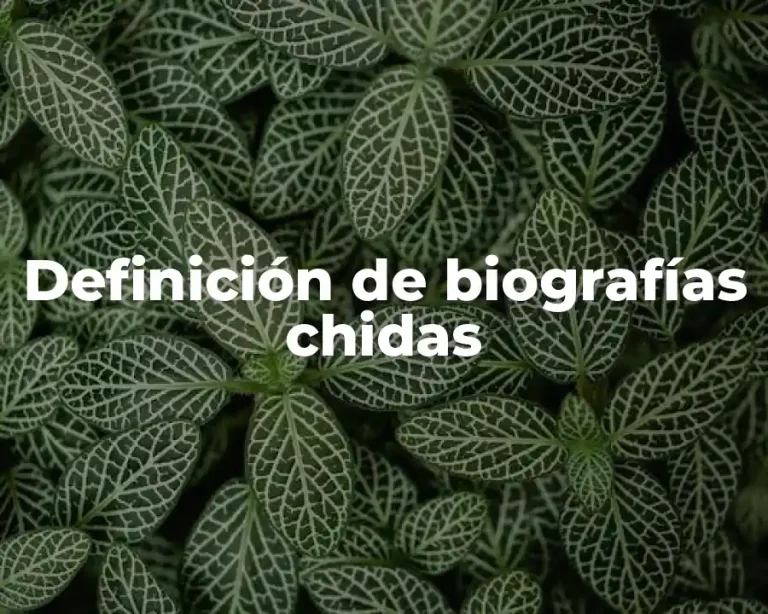 Definición de biografías chidas