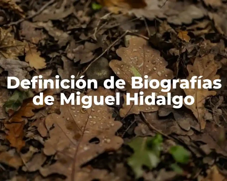 Definición de Biografías de Miguel Hidalgo