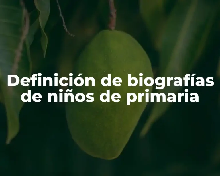 Definición de biografías de niños de primaria