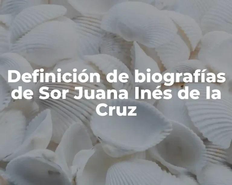 Definición de biografías de Sor Juana Inés de la Cruz