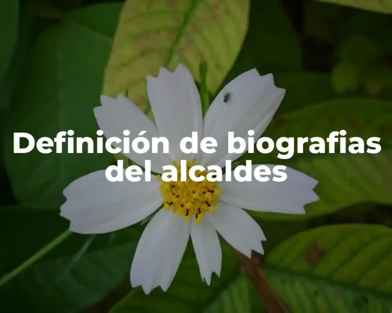 Definición de biografias del alcaldes