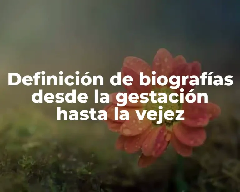 Definición de biografías desde la gestación hasta la vejez