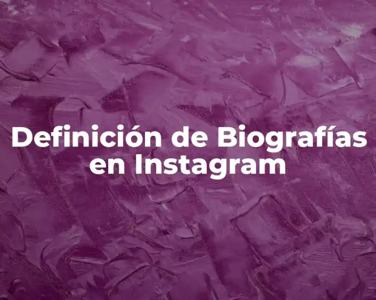 Definición de Biografías en Instagram