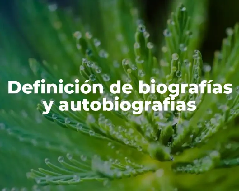 Definición de biografías y autobiografias