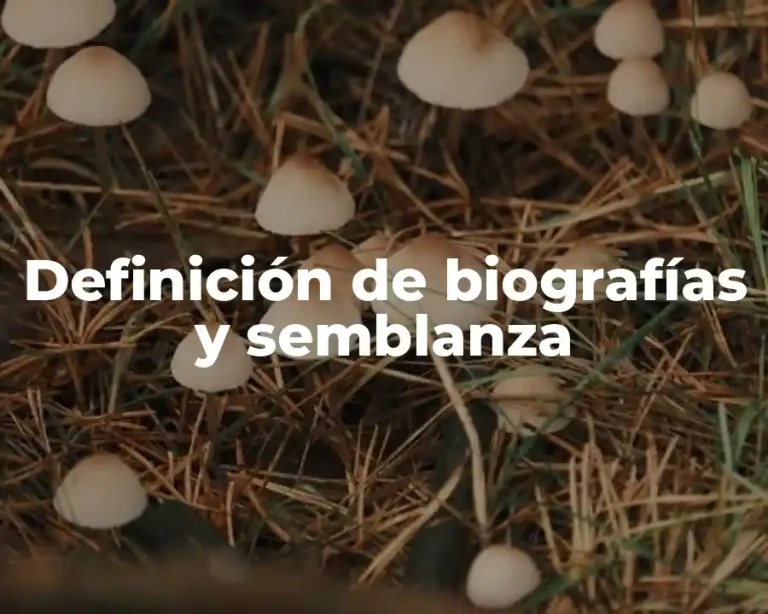 Definición de biografías y semblanza