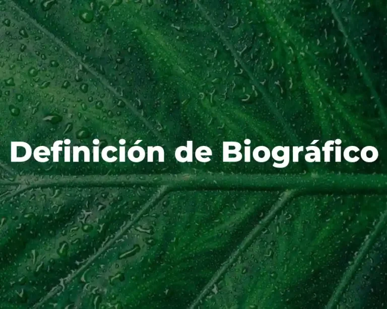 Definición de Biográfico