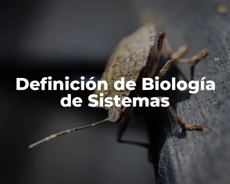 Definición de Biología de Sistemas
