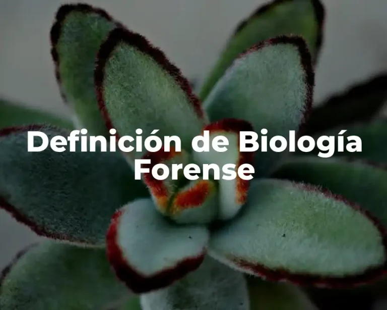 Definición de Biología Forense