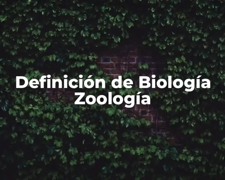 Definición de Biología Zoología