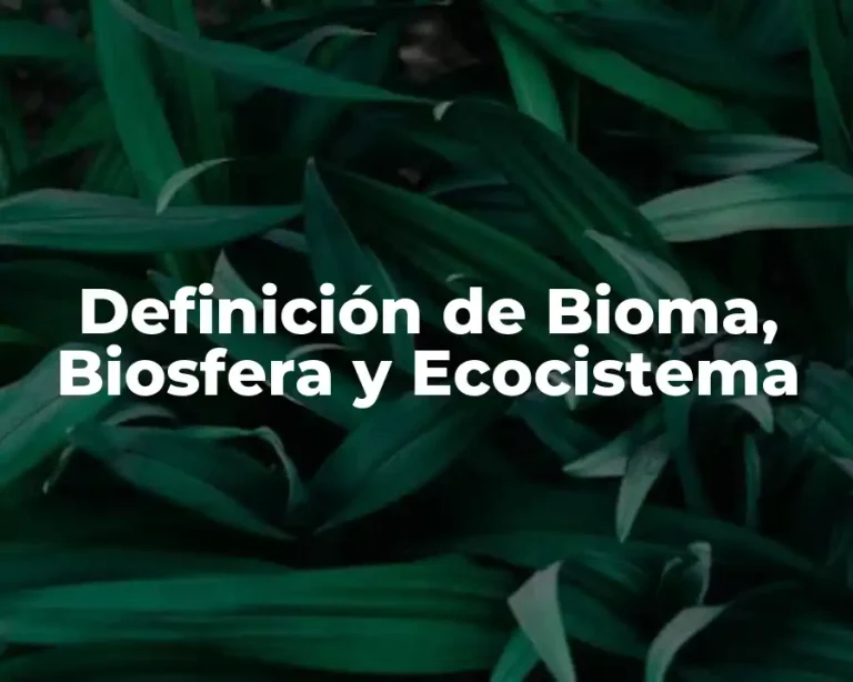 Definición de Bioma, Biosfera y Ecocistema
