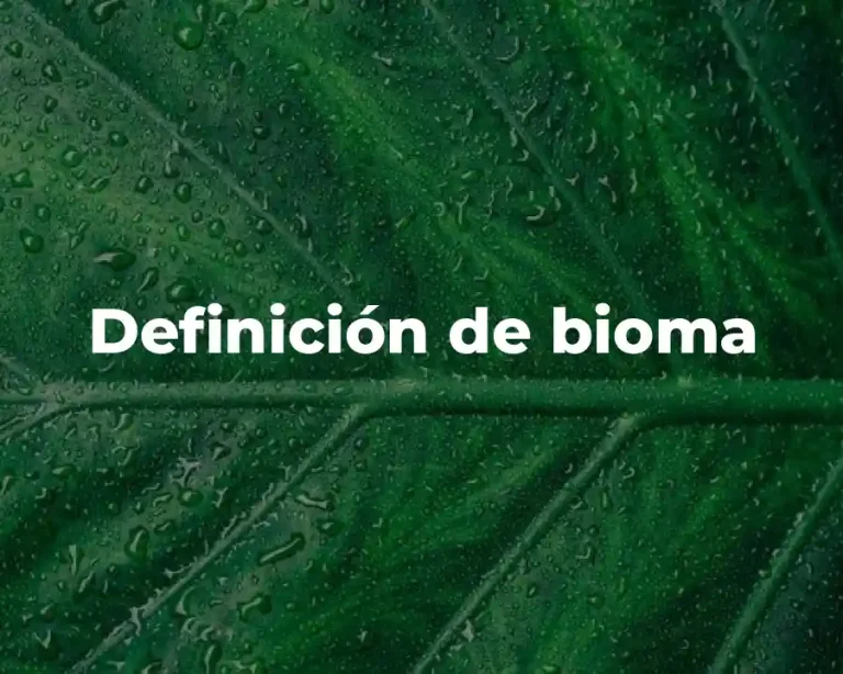 Definición de bioma