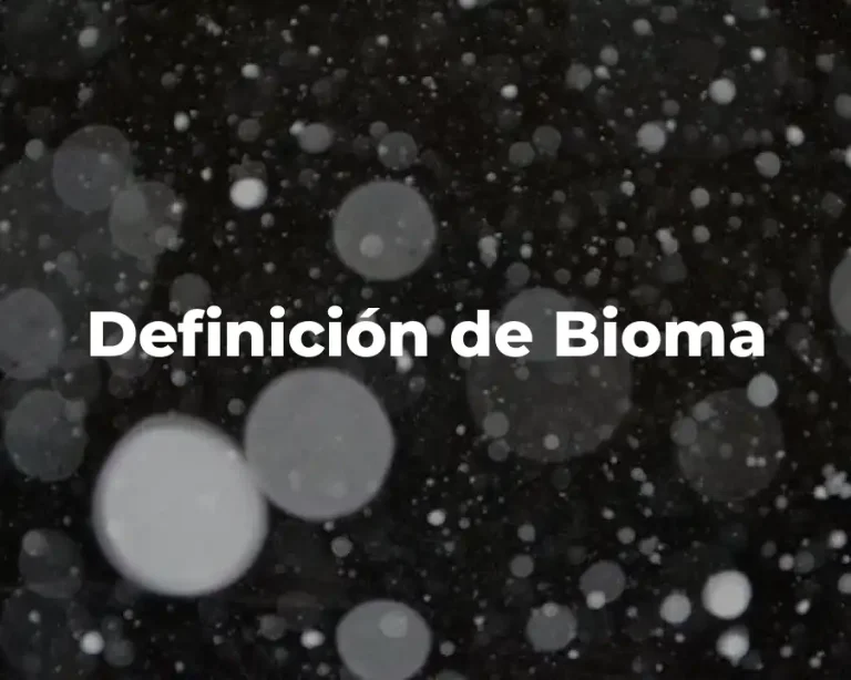 Definición de Bioma