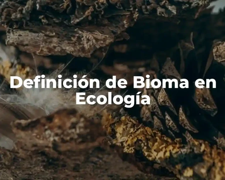 Definición de Bioma en Ecología