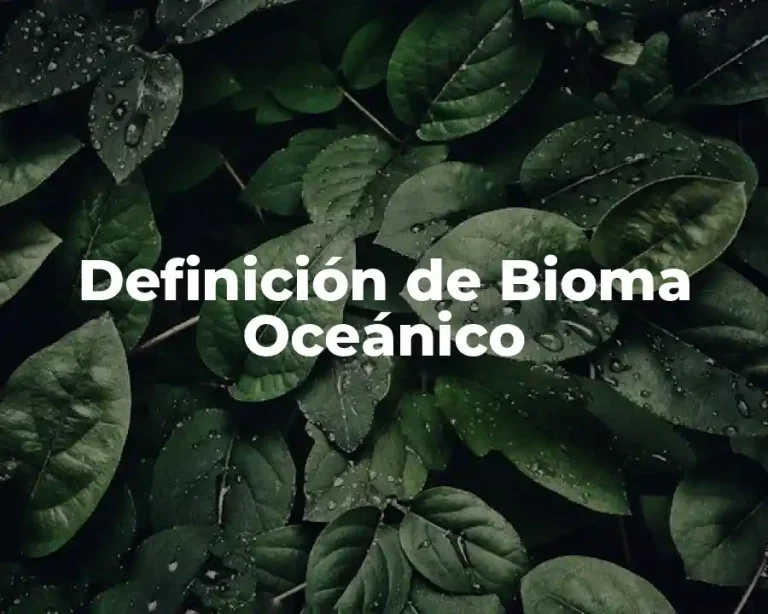 Definición de Bioma Oceánico