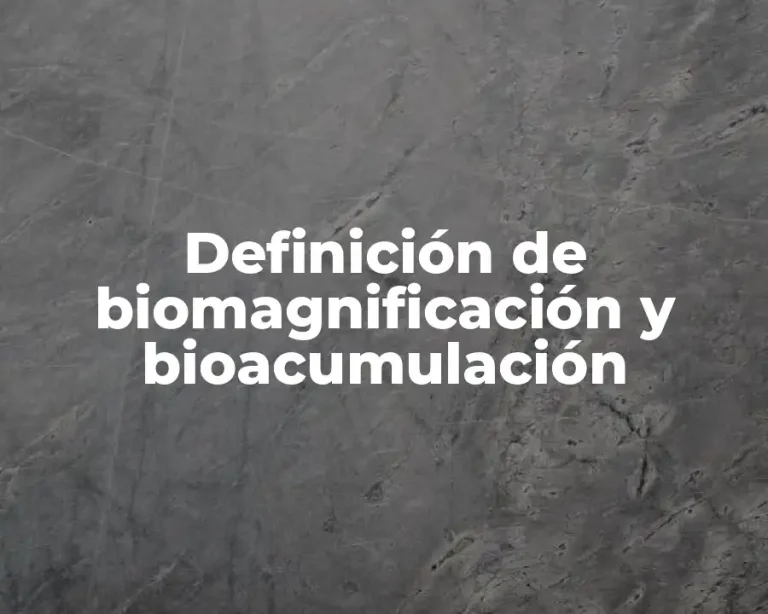Definición de biomagnificación y bioacumulación