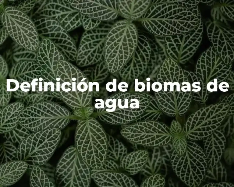 Definición de biomas de agua