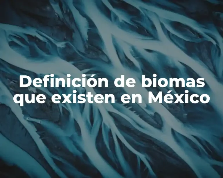 Definición de biomas que existen en México