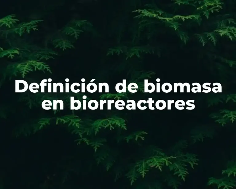 Definición de biomasa en biorreactores