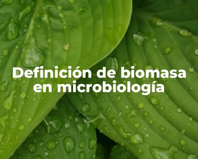 Definición de biomasa en microbiología