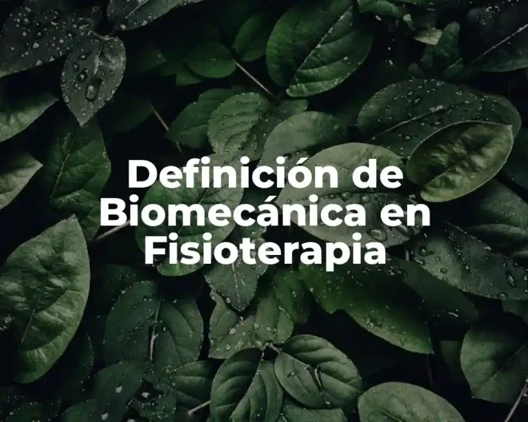 Definición de Biomecánica en Fisioterapia