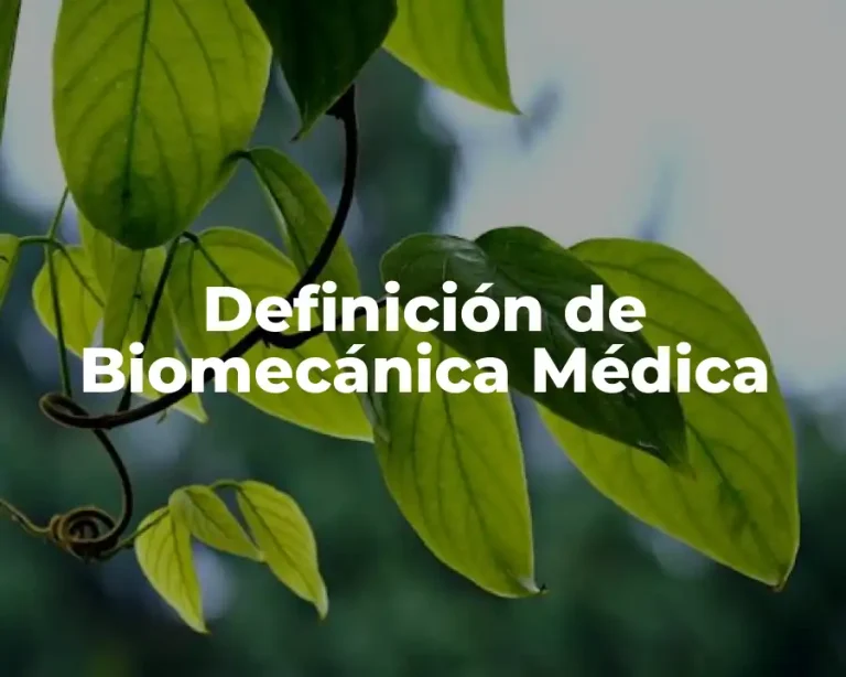 Definición de Biomecánica Médica