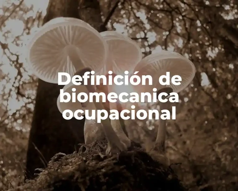 Definición de biomecanica ocupacional